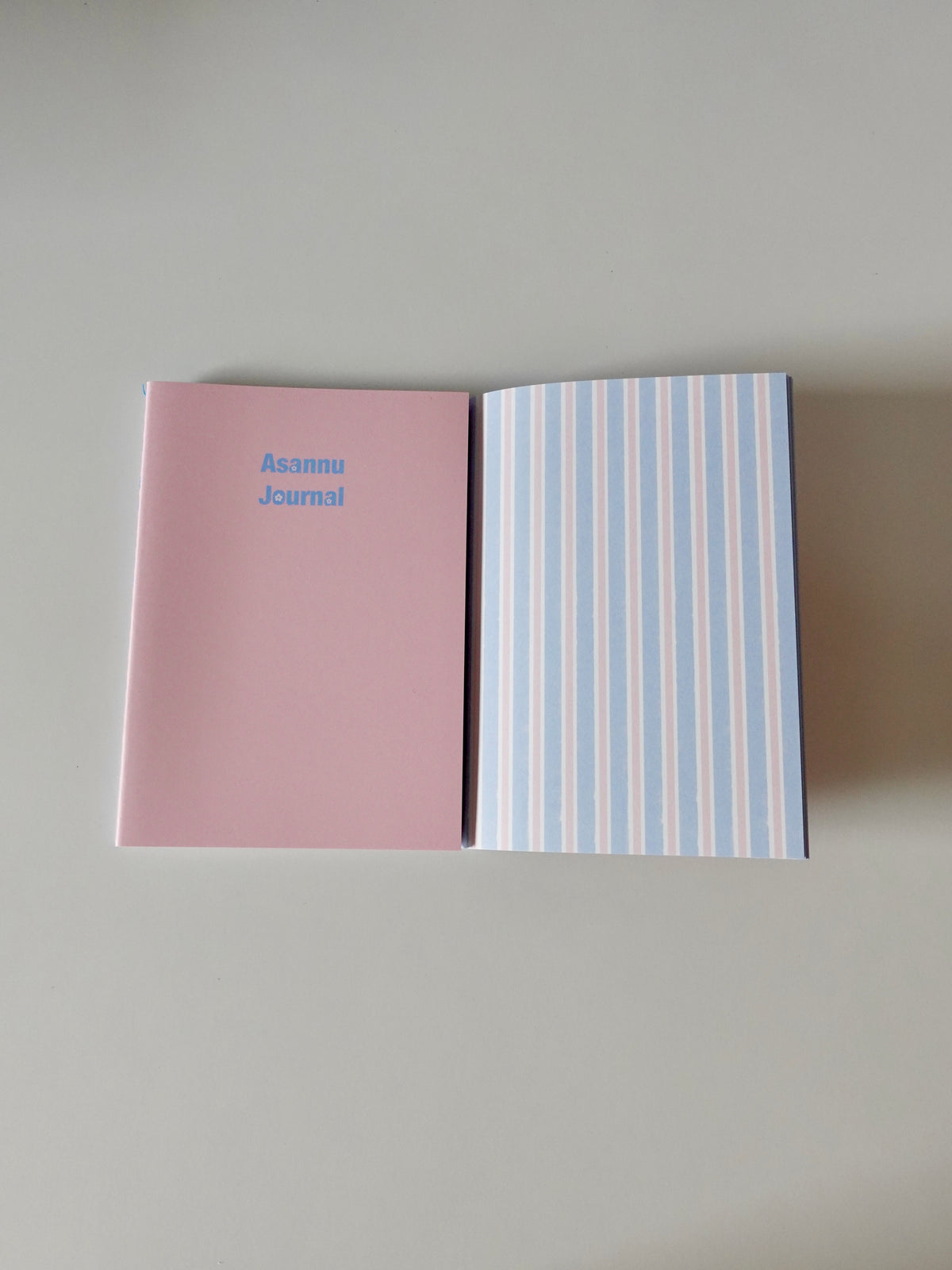 Asahi Journal - Pink